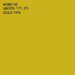 #CBB11B - Gold Tips Color Image